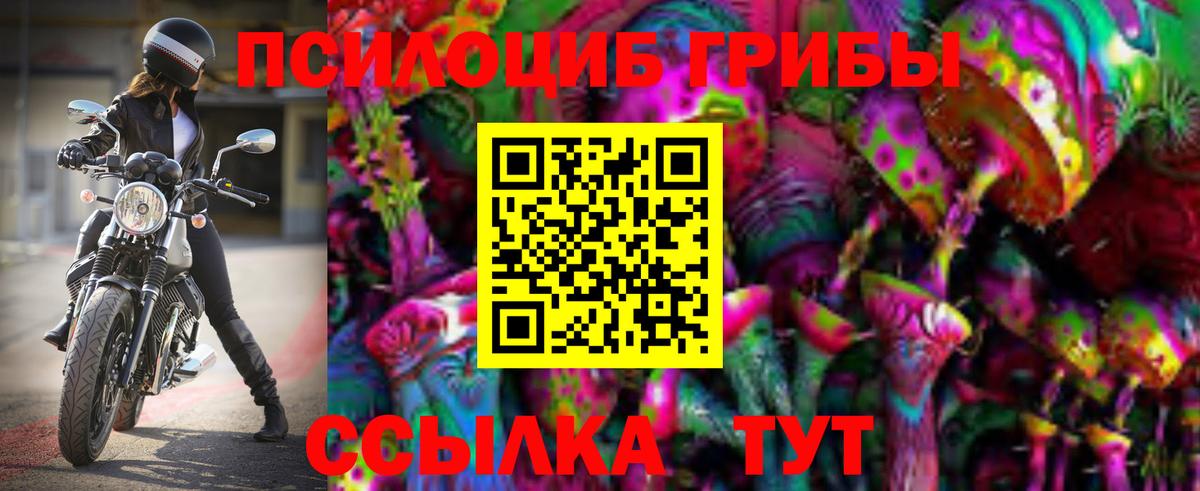 Новочеркасск  Галлюциногенные грибы прущие грибы  купить  цена  Вход с VPN 
