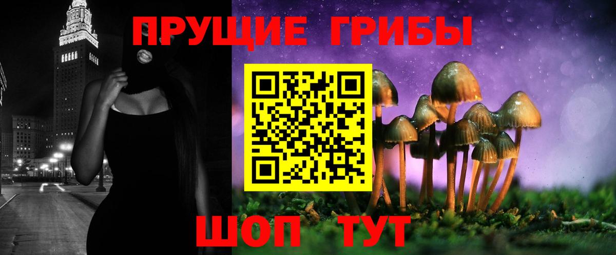 Галлюциногенные грибы GOLDEN TEACHER Новочеркасск