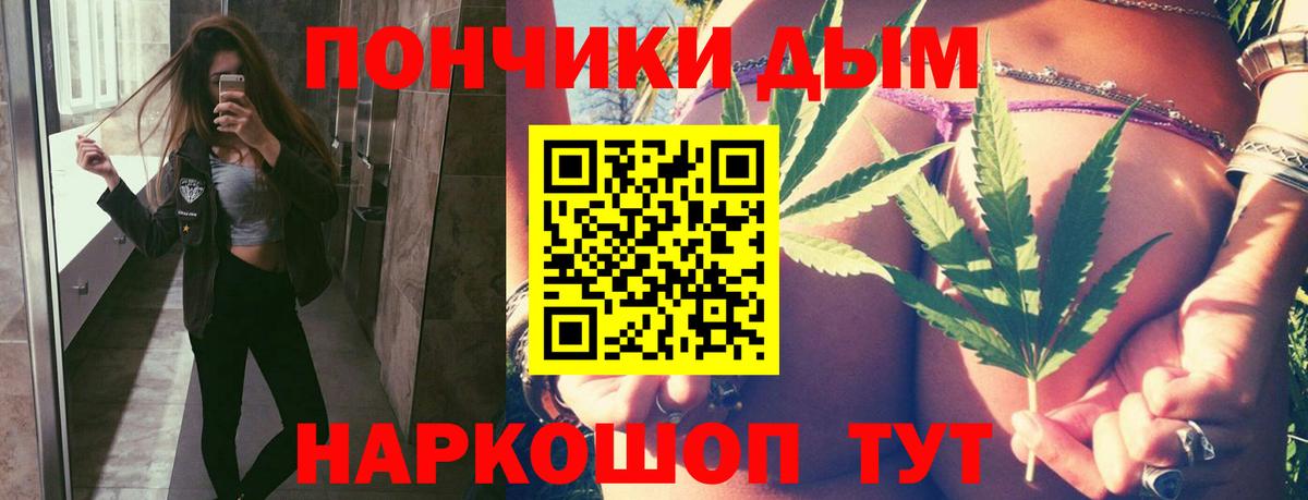 Бошки Шишки план Новочеркасск